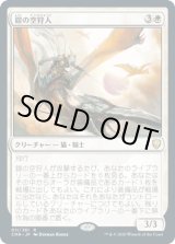 画像: 【JPN/CMR】鎧の空狩人/Armored Skyhunter