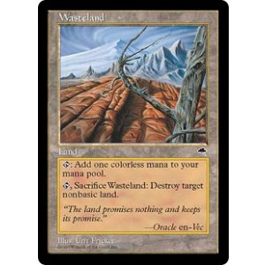 画像: 【JPN/TMP】不毛の大地/Wasteland【EX-】