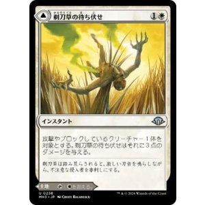 画像: 【JPN/MH3】剃刀草の待ち伏せ/Razorgrass Ambush