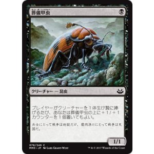 画像: 【JPN/MM3】葬儀甲虫/Mortician Beetle