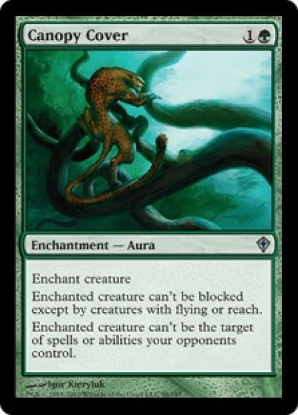 画像1: 【ENG/WWK】梢の覆い/Canopy Cover (1)