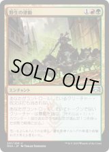 画像: 【JPN/RNA】野生の律動/Rhythm of the Wild