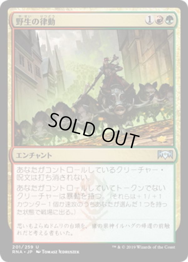 画像1: 【JPN/RNA】野生の律動/Rhythm of the Wild