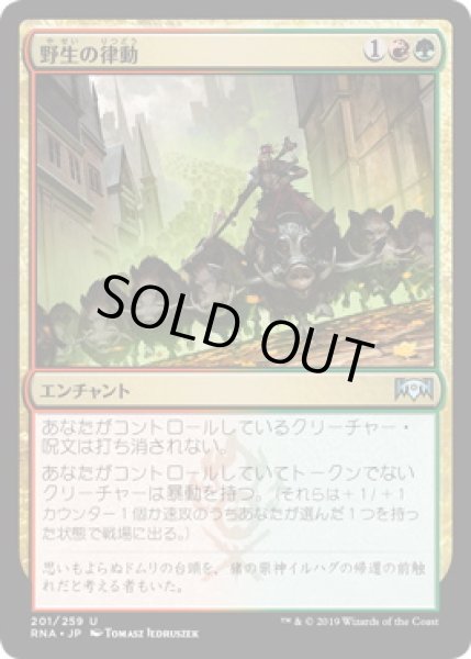 画像1: 【JPN/RNA】野生の律動/Rhythm of the Wild (1)