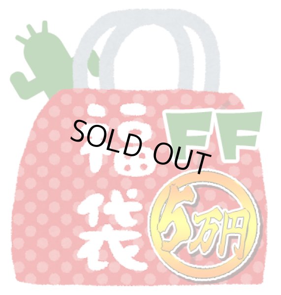 画像1: 『2026年新春5万円福袋《FF中心》』 (1)