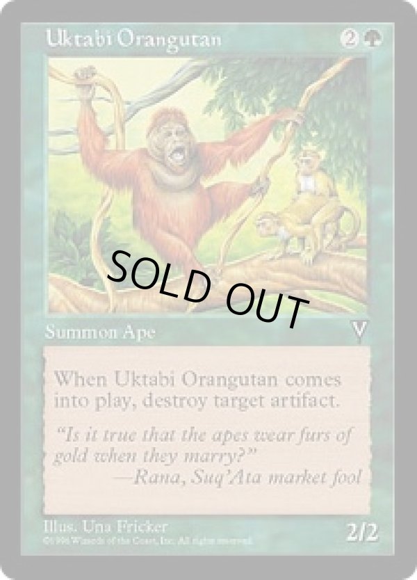 画像1: 【JPN/VIS】ウークタビー・オランウータン/Uktabi Orangutan