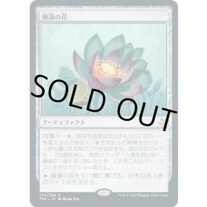 画像: 【JPN/TSR】睡蓮の花/Lotus Bloom『R』 [茶]