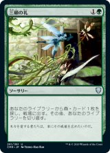 画像: 【JPN/CMR】三顧の礼/Three Visits