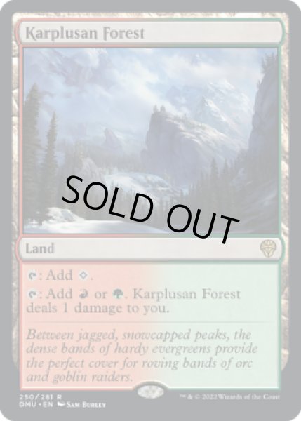 画像1: 【ENG/DMU/FOIL★】カープルーザンの森/Karplusan Forest [土地] 『R』 (1)