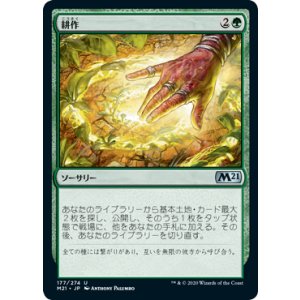 画像: 【JPN/M21】耕作/Cultivate 『緑』