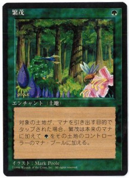 画像1: 【JPN/4EDBB】繁茂/Wild Growth『黒枠』 (1)