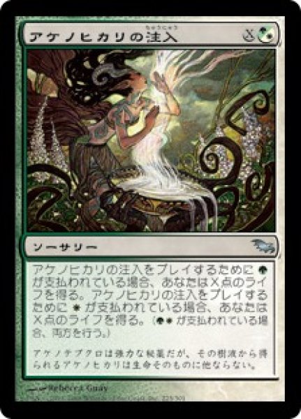 画像1: 【JPN/SHM】アケノヒカリの注入/Dawnglow Infusion (1)