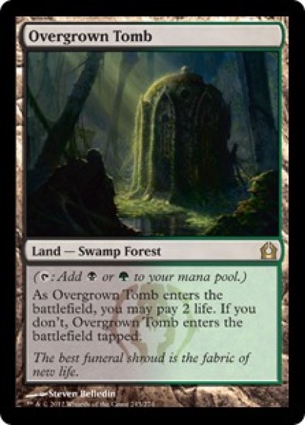 画像1: 【ENG/RTR】草むした墓/Overgrown Tomb (1)