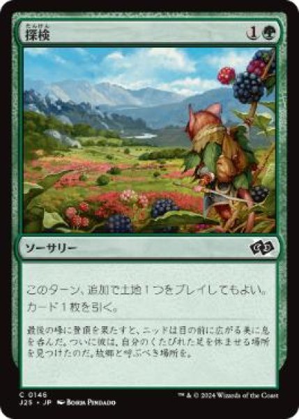 画像1: 【JPN/J25】探検/Explore［緑］『C』 (1)