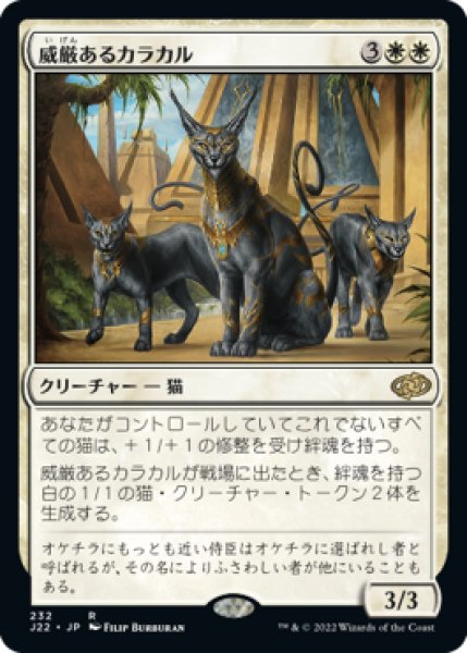 画像1: 【JPN/J22】威厳あるカラカル/Regal Caracal (1)