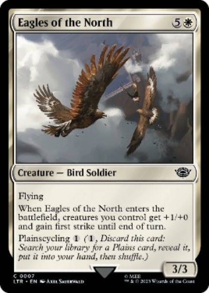画像1: 【ENG/LTR】北方の大鷲/Eagles of the North   (1)