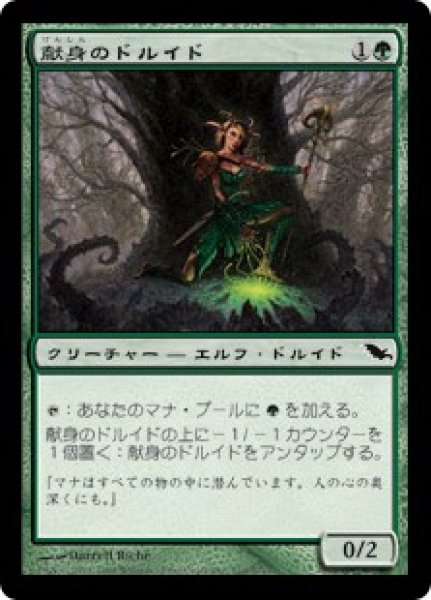 画像1: 【JPN/SHM】献身のドルイド/Devoted Druid (1)
