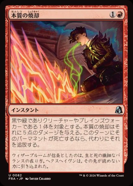 画像1: 【JPN/FRA】本質の焼却/Essence Burn［赤］『U』 (1)