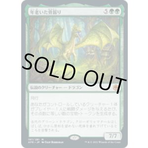 画像: 【JPN/AFR/FOIL★】年老いた骨齧り/Old Gnawbone 『M』 [緑]
