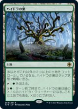 画像: 【JPN/AFR】ハイドラの巣/Lair of the Hydra 『R』 [土地]