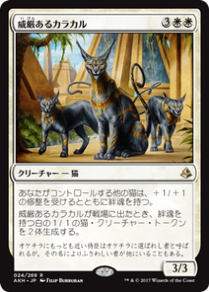 画像1: 【JPN/AKH】威厳あるカラカル/Regal Caracal 『R』[白] (1)