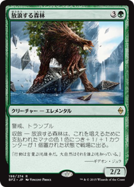 画像1: 【JPN/BFZ】放浪する森林/Woodland Wanderer 『R』 (1)