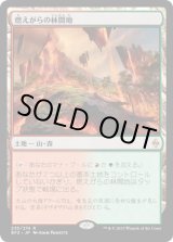 画像: 【JPN/BFZ】燃えがらの林間地/Cinder Glade 『R』