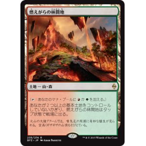 画像: 【JPN/BFZ/FOIL★】燃えがらの林間地/Cinder Glade 