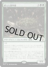 画像: 【JPN/BLB】肥えた緑甲羅/Fecund Greenshell  [緑] 『R』