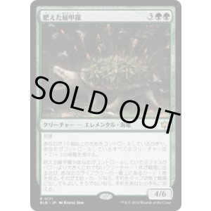 画像: 【JPN/BLB】肥えた緑甲羅/Fecund Greenshell  [緑] 『R』