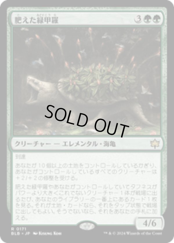 画像1: 【JPN/BLB】肥えた緑甲羅/Fecund Greenshell  [緑] 『R』