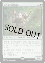 画像: 【JPN/BLB】耕作する高原導き/Tender Wildguide  [緑] 『R』