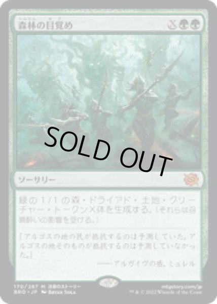 画像1: 【JPN/BRO】森林の目覚め/Awaken the Woods [緑] 『M』 (1)