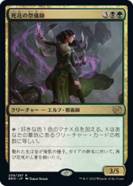 画像1: 【JPN/BRO】死花の祭儀師/Deathbloom Ritualist [マルチ]  『R』 (1)