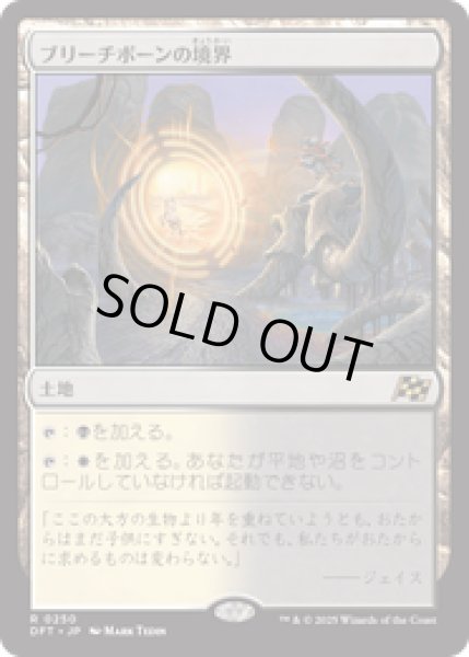 画像1: 【JPN/DFT】ブリーチボーンの境界/Bleachbone Verge [土地] 『R』 (1)