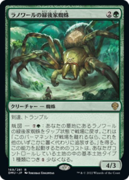 画像1: 【JPN/DMU】ラノワールの緑後家蜘蛛/Llanowar Greenwidow [緑] 『R』 (1)