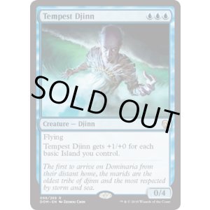 画像: 【ENG/DOM】大嵐のジン/Tempest Djinn 『R』 [青]