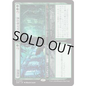 画像: 【JPN/DSK/FOIL★】収納室+忘れられた地下室/Walk-In Closet+Forgotten Cellar  [緑] 『M』