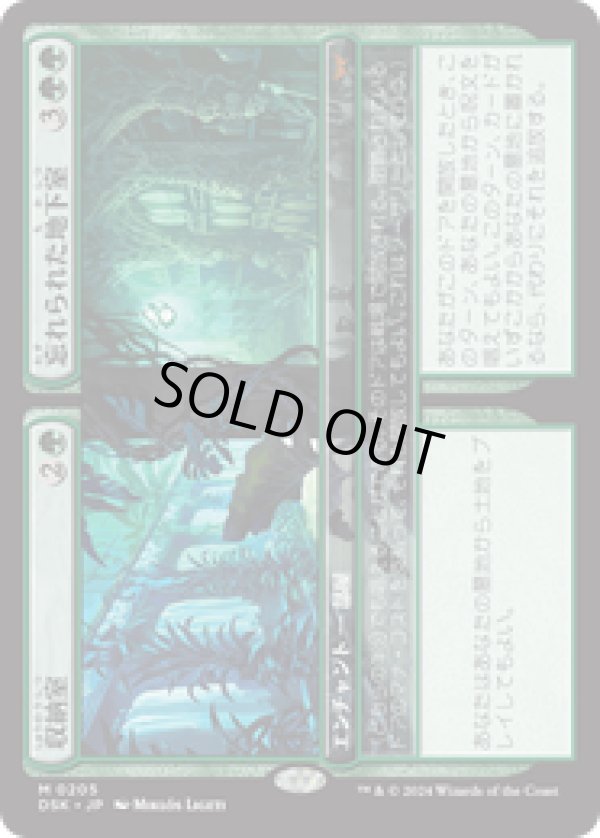 画像1: 【JPN/DSK/FOIL★】収納室+忘れられた地下室/Walk-In Closet+Forgotten Cellar  [緑] 『M』