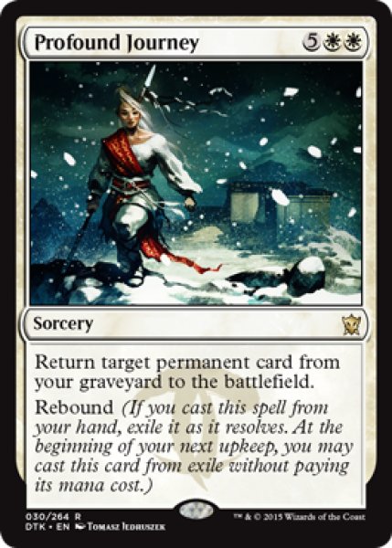 画像1: 【ENG/DTK】深遠な旅/Profound Journey『R』 (1)