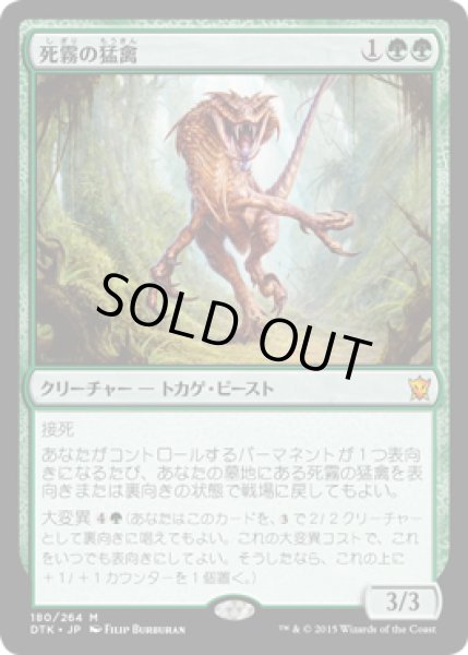 画像1: 【JPN/DTK】死霧の猛禽/Deathmist Raptor『M』 (1)