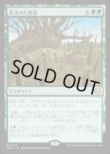 画像: 【JPN/ECL】若木の生育場/Sapling Nursery [緑] 『R』