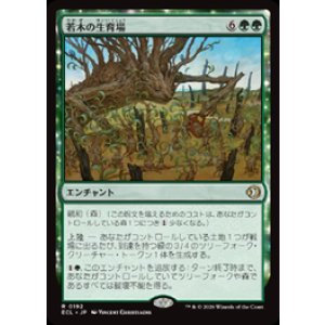 画像: 【JPN/ECL】若木の生育場/Sapling Nursery [緑] 『R』