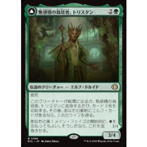画像: 【JPN/ECL】無感情の栽培者、トリスタン/Trystan, Callous Cultivator [緑] 『R』