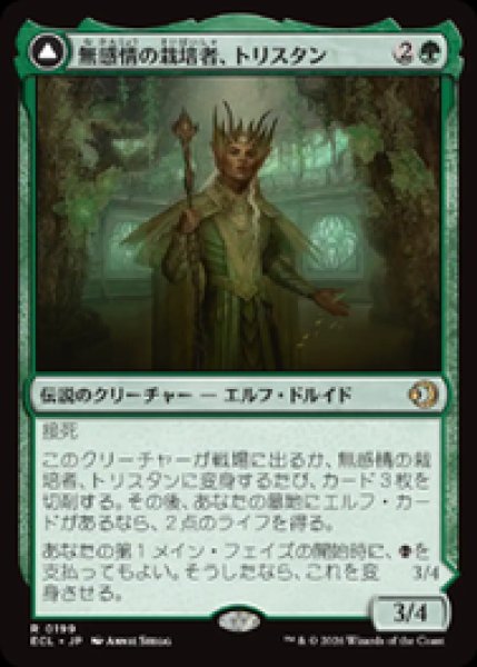 画像1: 【JPN/ECL】無感情の栽培者、トリスタン/Trystan, Callous Cultivator [緑] 『R』 (1)