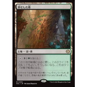 画像: 【PN/ECL】草むした墓/Overgrown Tomb [土地] 『R』