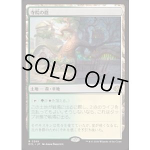 画像: 【JPN/ECL/FOIL★】寺院の庭/Temple Garden [土地] 『R』