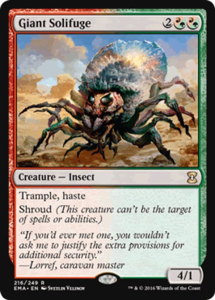 画像1: 【ENG/EMA】巨大ヒヨケムシ/Giant Solifuge 『R』 (1)
