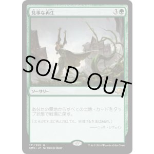 画像: 【JPN/EMN】見事な再生/Splendid Reclamation 『R』