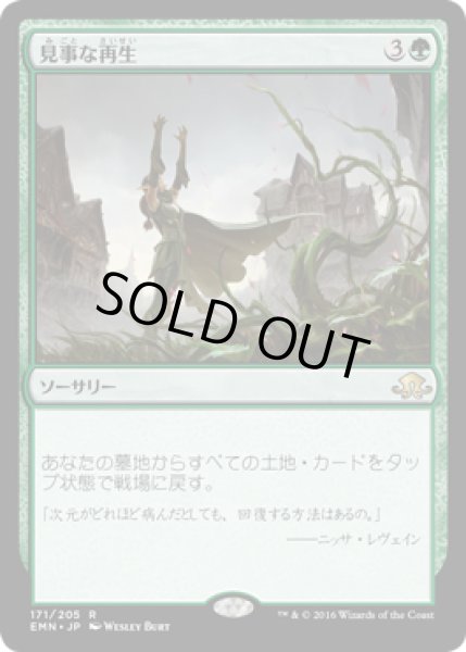 画像1: 【JPN/EMN】見事な再生/Splendid Reclamation 『R』 (1)